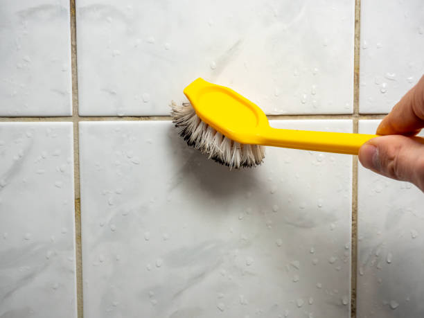 Best Localized Mold Remediation (e.g., coastal areas, humid climates) in Thermopolis, WY