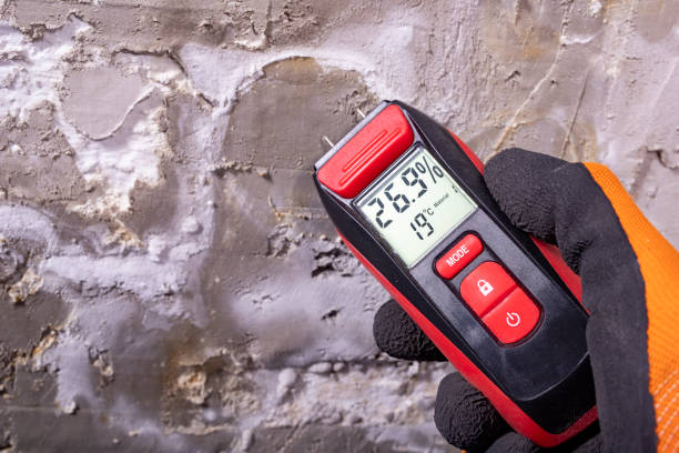 Best Bathroom Mold Remediation in Thermopolis, WY