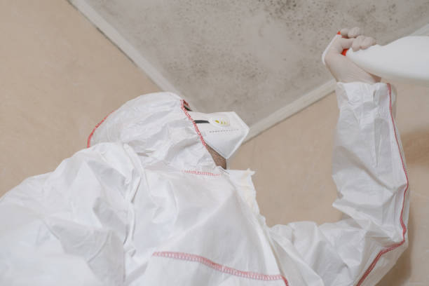 Best Health and Safety Mold Remediation in Thermopolis, WY