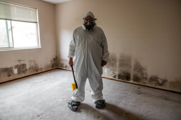 Best Post-Remediation Services in Thermopolis, WY